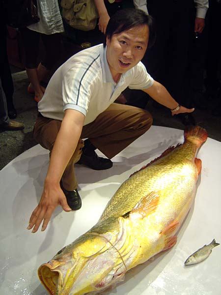 大型魚類|特集 巨大魚だらけの水族館：時事ドットコム